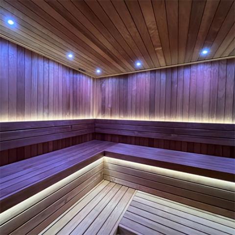 Prosaunas Universal Sauna Light Kit with Two 10-Ft Flexible LED Strips