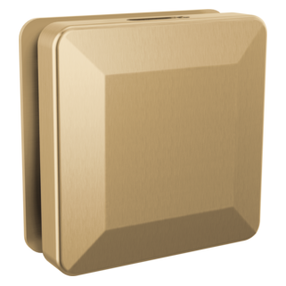 Delta SimpleSteam Square Steam Head