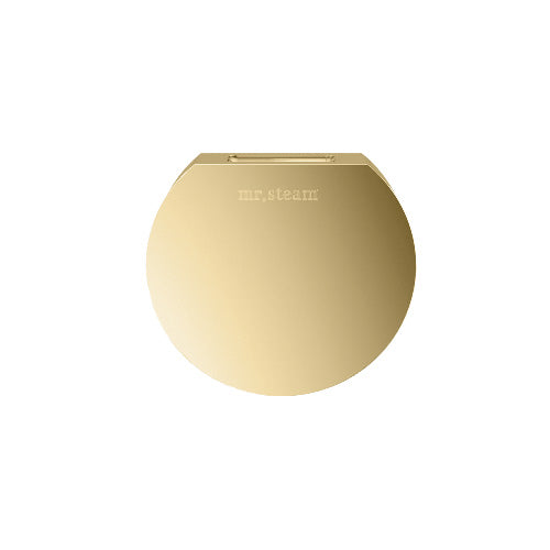 Mr.Steam Aroma Designer SteamHead Polished Brass