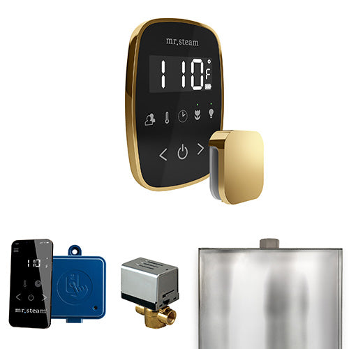 Mr.Steam ButlerFlex Steam Shower Control Package with TempoFlex and Aroma SteamHead