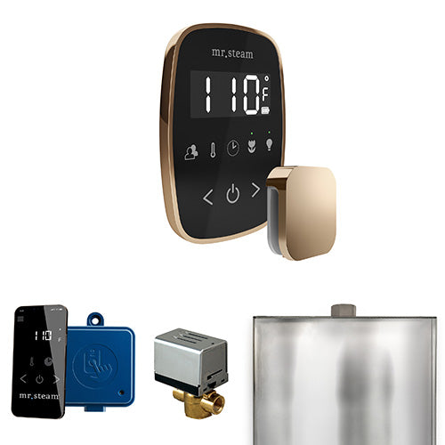 Mr.Steam ButlerFlex Steam Shower Control Package with TempoFlex and Aroma SteamHead