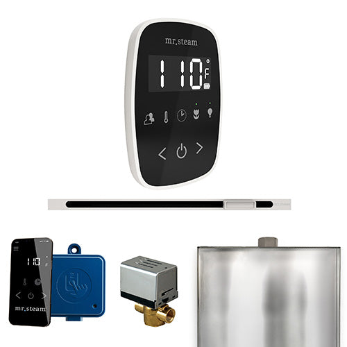 ButlerFlex Steam Shower Control Package with TempoFlex Control and Linear Steamhead