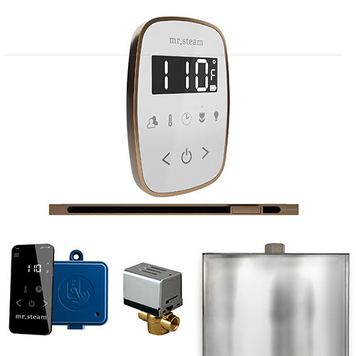 ButlerFlex Steam Shower Control Package with TempoFlex Control and Linear Steamhead