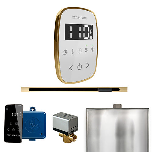 ButlerFlex Steam Shower Control Package with TempoFlex Control and Linear Steamhead