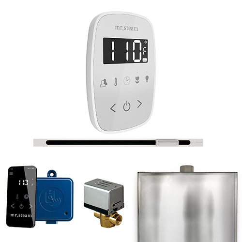 ButlerFlex Steam Shower Control Package with TempoFlex Control and Linear Steamhead