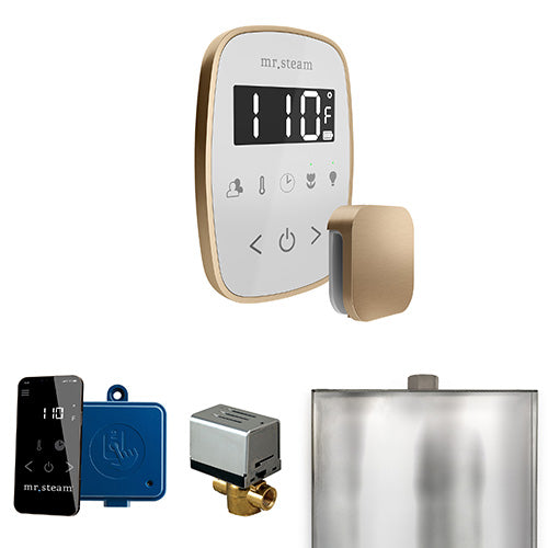 Mr.Steam ButlerFlex Steam Shower Control Package with TempoFlex and Aroma SteamHead