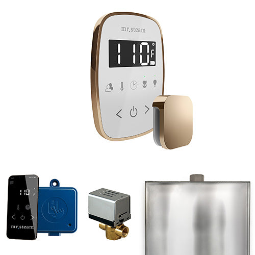 Mr.Steam ButlerFlex Steam Shower Control Package with TempoFlex and Aroma SteamHead