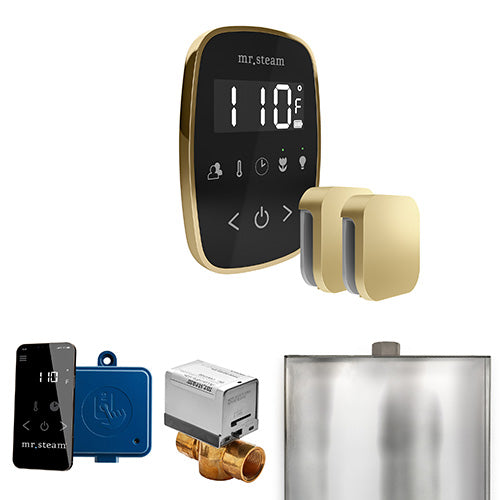 Mr.Steam ButlerFlex Max Steam Shower Control Package with TempoFlex Control and Aroma Steamheads