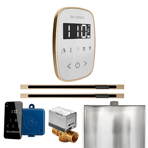 Mr.Steam ButlerFlex Max Linear Control Package