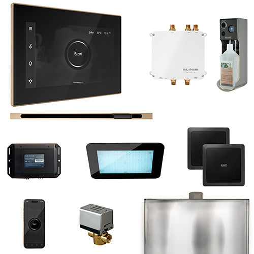 Mr.Steam Bliss Steam Shower Control Package with iSteamX Control and Linear Steamhead