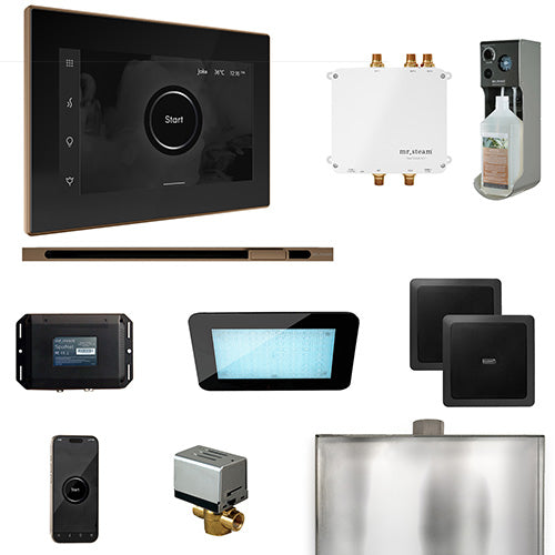 Mr.Steam Bliss Steam Shower Control Package with iSteamX Control and Linear Steamhead