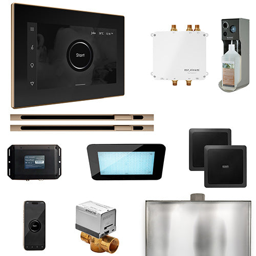 Mr.Steam Bliss Max Steam Shower Control Package with iSteamX Control and 2 Linear Steamheads
