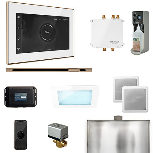 Mr.Steam Bliss Steam Shower Control Package with iSteamX Control and Linear Steamhead