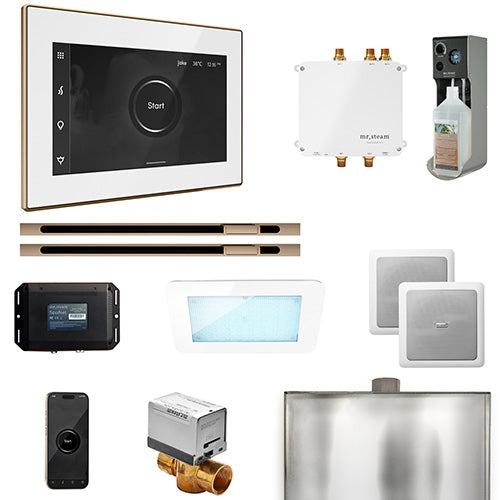 Mr.Steam Bliss Max Steam Shower Control Package with iSteamX Control and 2 Linear Steamheads