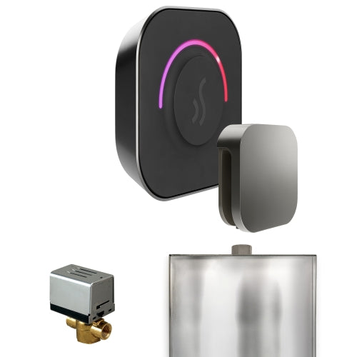 Mr.Steam ButlerTouch Steam Shower Control Package with TempoTouch Control and Aroma SteamHead