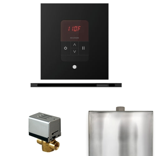 Mr.Steam Basic Butler Steam Shower Control Package with Round iTempo Control and Linear Steamhead