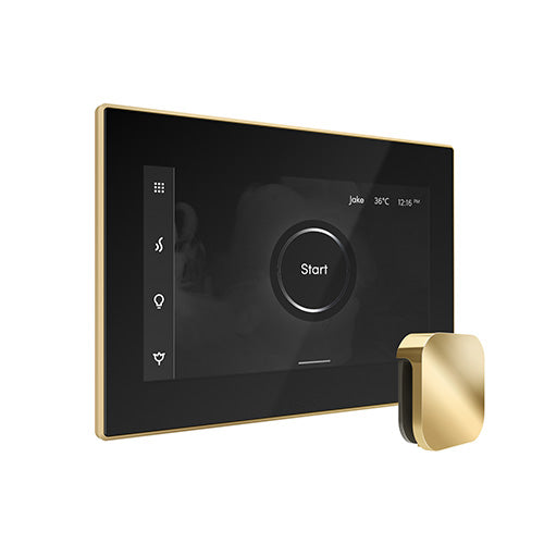 Mr.Steam iSteamX Steam Shower Control and Steamhead