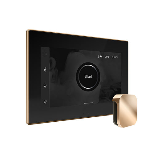 Mr.Steam iSteamX Steam Shower Control and Steamhead