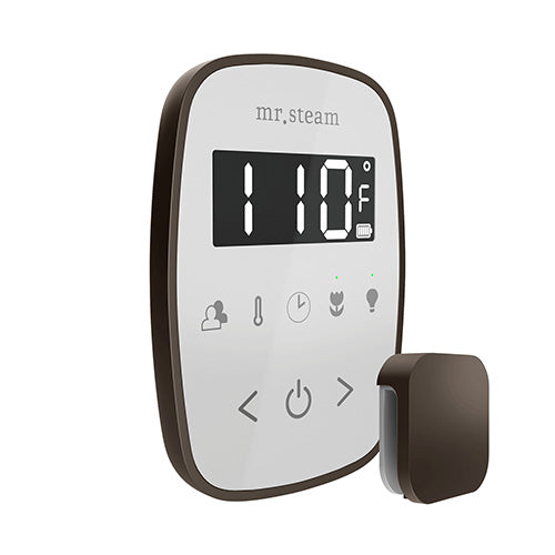 Mr.Steam TempoFlex Steam Shower Control and Steamhead