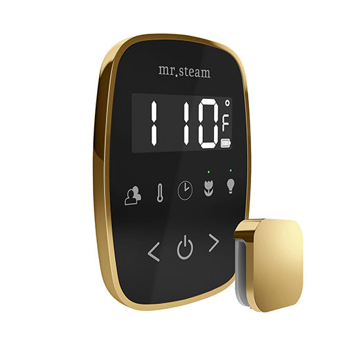 Mr.Steam TempoFlex Steam Shower Control and Steamhead