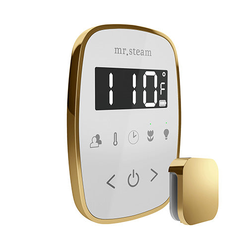 Mr.Steam TempoFlex Steam Shower Control and Steamhead