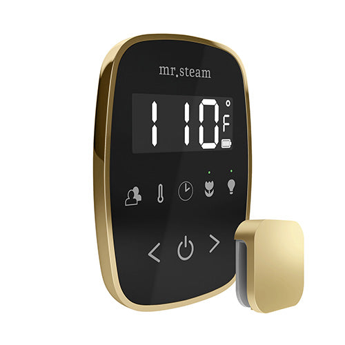 Mr.Steam TempoFlex Steam Shower Control and Steamhead