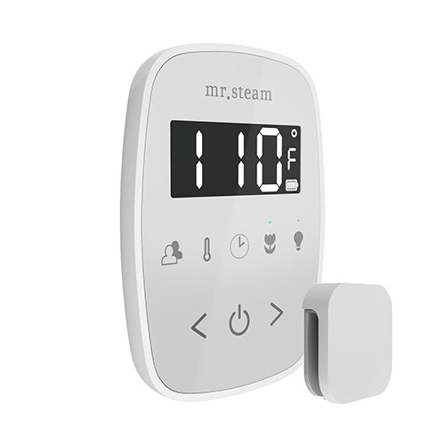 Mr.Steam TempoFlex Steam Shower Control and Steamhead