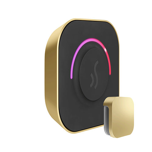 Mr.Steam TempoTouch Steam Shower Control and Steamhead