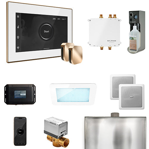 Mr.Steam Bliss Max Steam Shower Control Package with iSteamX Control and 2 Aroma Steamheads