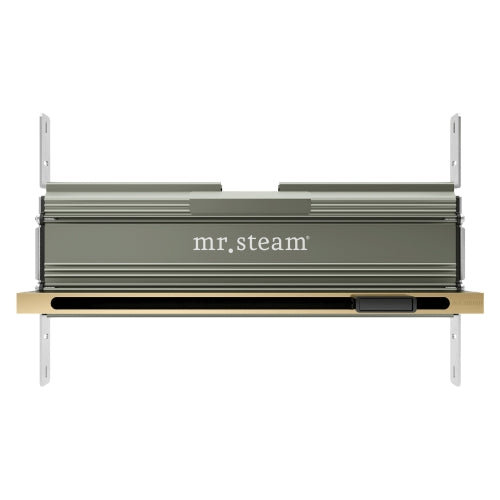 Mr.Steam Linear 16 in. W. Steamhead with AromaTherapy Reservoir