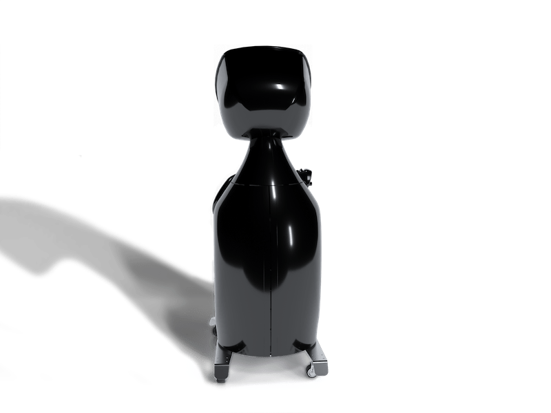 Vacuactivus Iceberg25L local CRYO