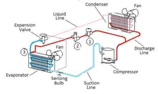 Vacuactivus Antarctica WBC Electric