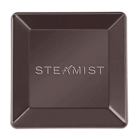 Steamist 3199 Steam Head, 3/4"