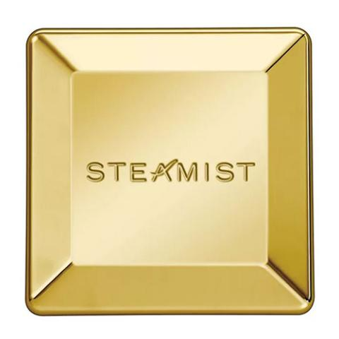 Steamist 3199 Steam Head, 3/4"
