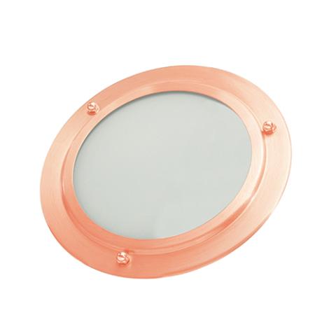 ThermaSol Shower Light