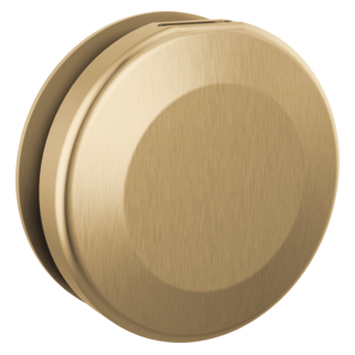 Delta SimpleSteam Round Steamhead Lumicoat Champagne Bronze