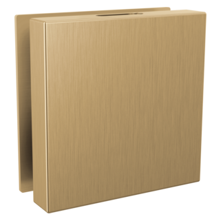 Delta SteamScape Square Steamhead Lumicoat Champagne Bronze
