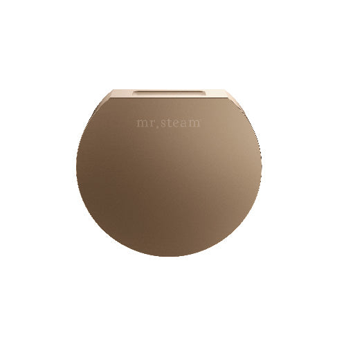 Mr Steam Aroma Designer SteamHead Nouveau Bronze