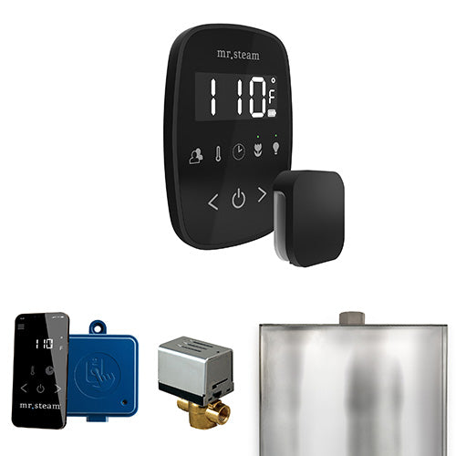 Mr.Steam ButlerFlex Steam Shower Control Package with TempoFlex and Aroma SteamHead