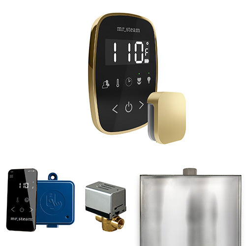 Mr.Steam ButlerFlex Steam Shower Control Package with TempoFlex and Aroma SteamHead