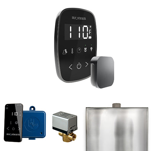 Mr.Steam ButlerFlex Steam Shower Control Package with TempoFlex and Aroma SteamHead