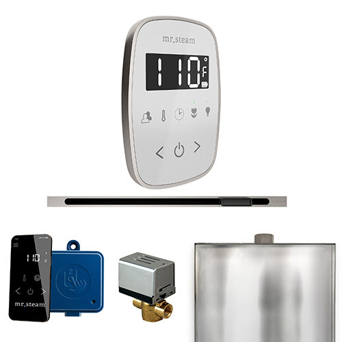 ButlerFlex Steam Shower Control Package with TempoFlex Control and Linear Steamhead