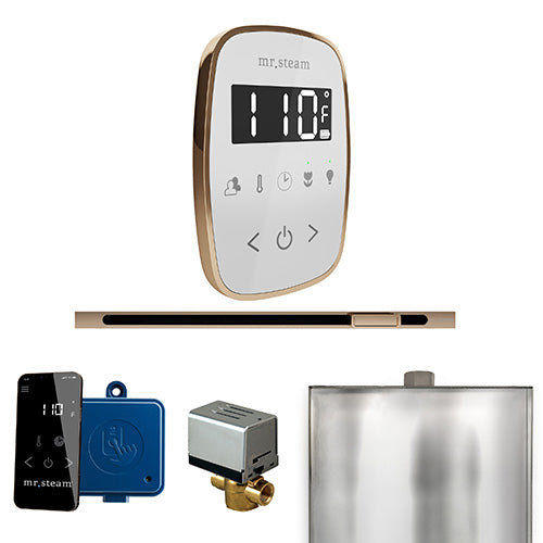 ButlerFlex Steam Shower Control Package with TempoFlex Control and Linear Steamhead