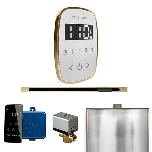 ButlerFlex Steam Shower Control Package with TempoFlex Control and Linear Steamhead