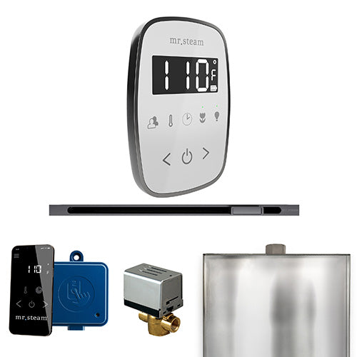 ButlerFlex Steam Shower Control Package with TempoFlex Control and Linear Steamhead
