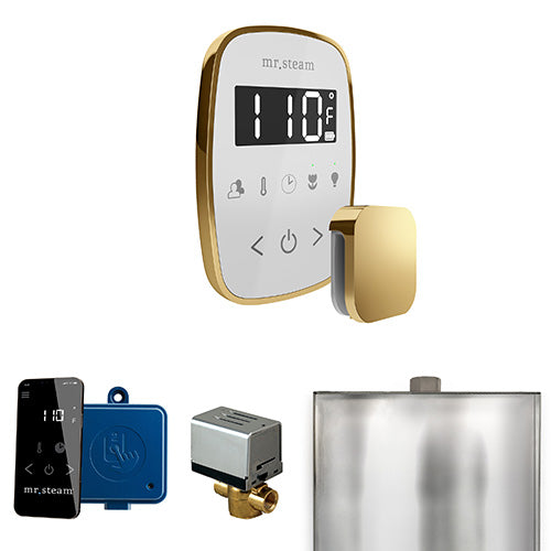 Mr.Steam ButlerFlex Steam Shower Control Package with TempoFlex and Aroma SteamHead