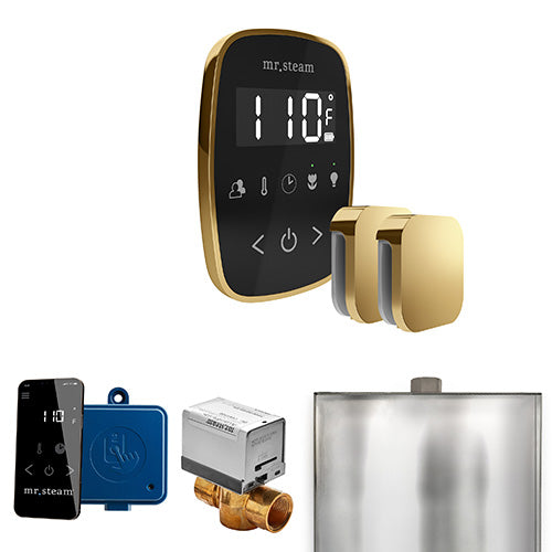 Mr.Steam ButlerFlex Max Steam Shower Control Package with TempoFlex Control and Aroma Steamheads