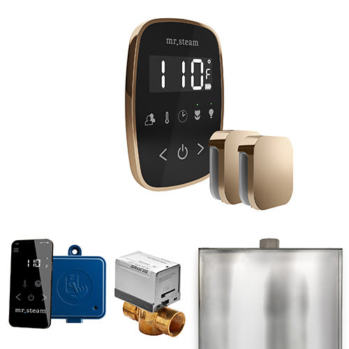 Mr.Steam ButlerFlex Max Steam Shower Control Package with TempoFlex Control and Aroma Steamheads