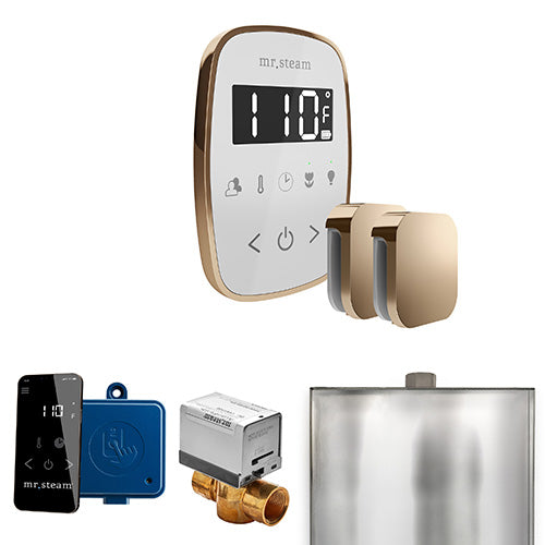Mr.Steam ButlerFlex Max Steam Shower Control Package with TempoFlex Control and Aroma Steamheads