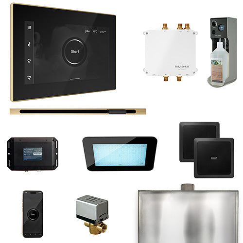 Mr.Steam Bliss Steam Shower Control Package with iSteamX Control and Linear Steamhead